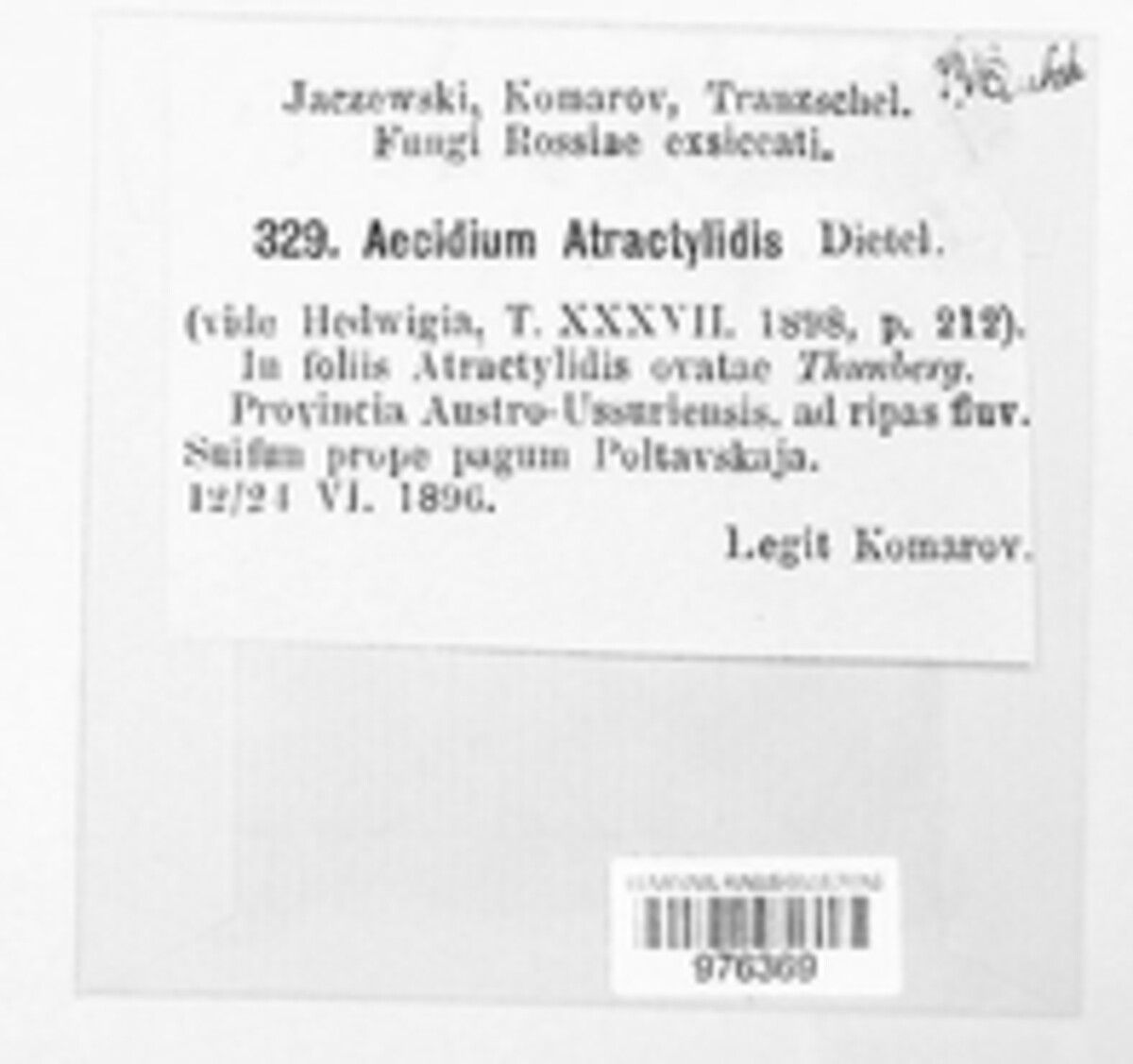 Aecidium atractylidis image